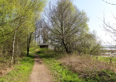 An der Gänsewiese