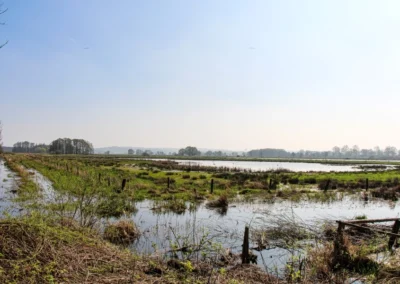 Blick auf die Gänsewiese
