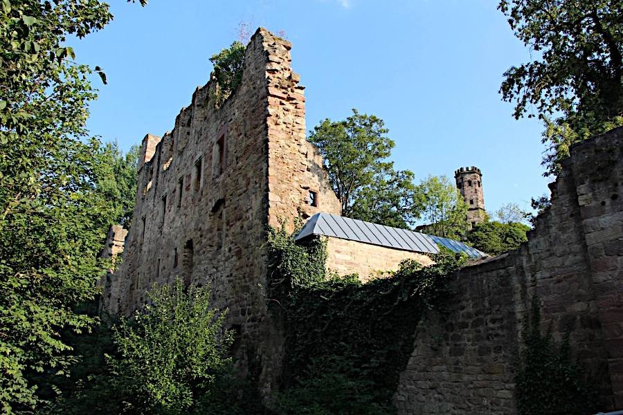 Die Burg Hardenberg ist die Ruine einer Felsenburg auf einer Felskuppe