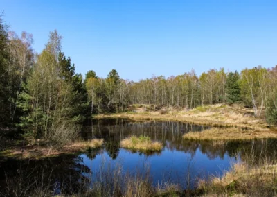 Das etwa 33 km² große tote Moor