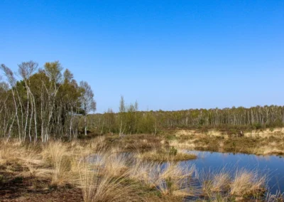 Kleiner See im Toten Moor