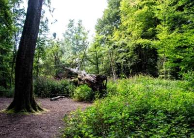 Am Anfang der Wege