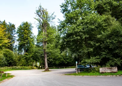Parkplatz Urwald Sababurg