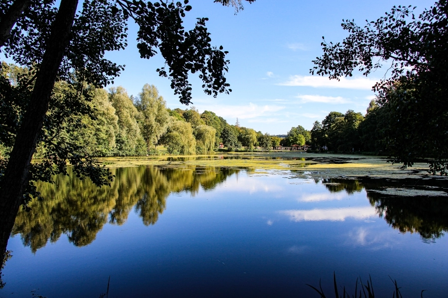 Schöner Blick über den Paddelteich