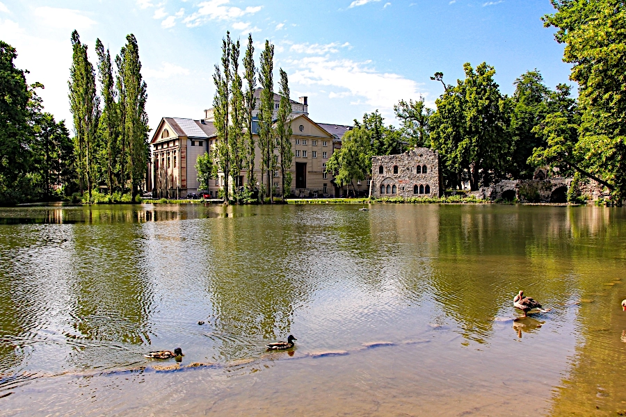 blick-ueber-den-eisteich-im-englischen-garten Der Englische Garten ist eine leicht hügelige Parklandschaft