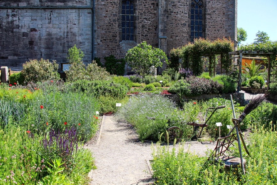 der-bibelgarten-an-der-st.crucis-kirche Neben der St. Crucis-Kirche befindet sich der Bibelgarten