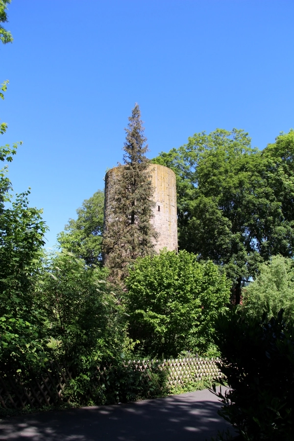 der-diebesturm Der Diebesturm ist einer der 8 Stadtürme der ehemaligen Stadtmauer