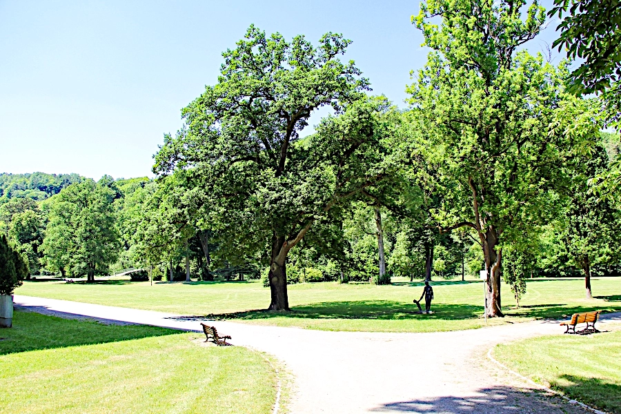 der-schlosspark-in-meiningen Um das Residenzschloss Elisabethenburg herum befindet sich der Schlosspark