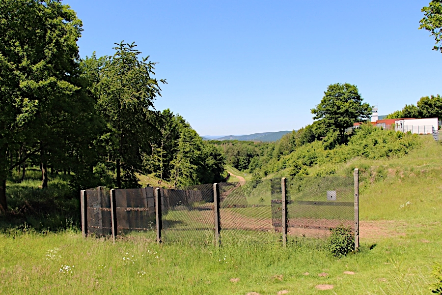 grenzzaun-am-grenzmuseum-schifflersgrund Ein Stück Deutsch-Deutscher Geschichte kann im Grenzlandmuseum Schifflersgrund besichtigte werden