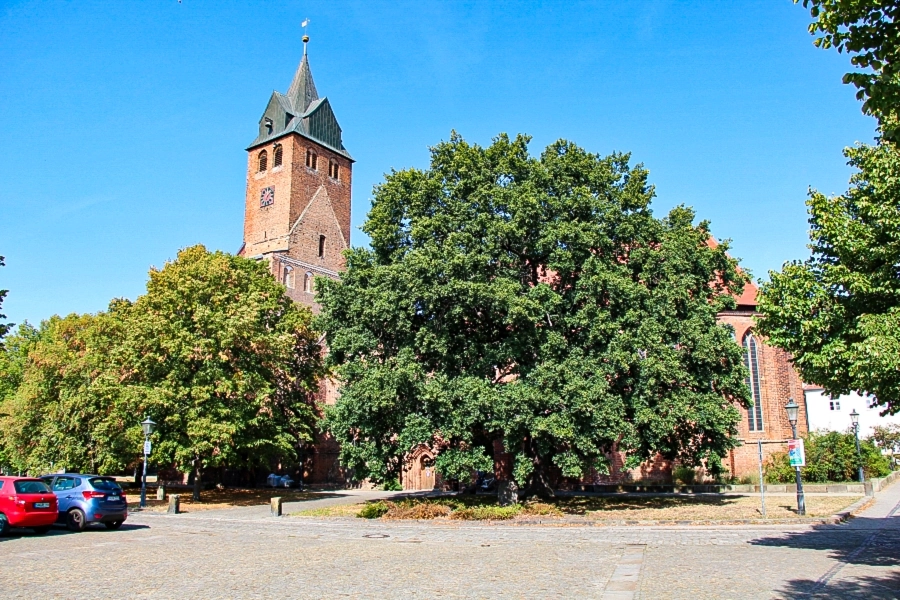 nikolaikirche-gardelegen Die Nikolaikirche geht auf eine romanische Basilika von Anfang des 13. Jahrhunderts zurüc