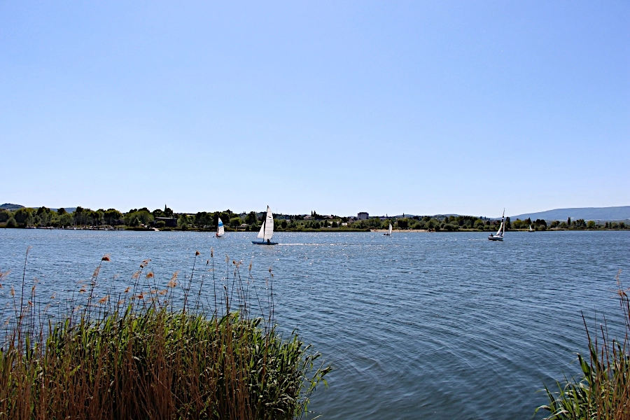 werrasee-eschwege Der Werratalsee ist 110 ha groß und über 2.000 m lang