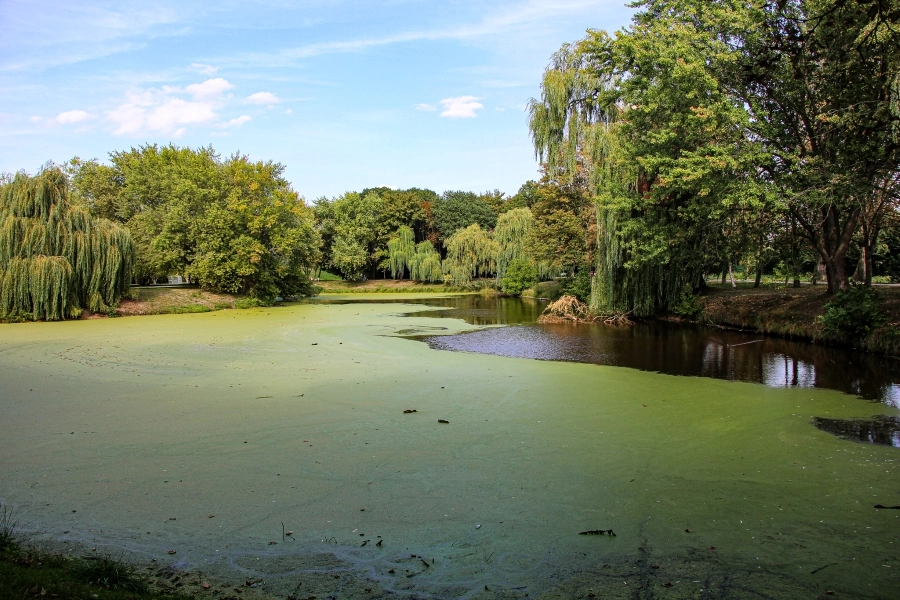 bebelpark-stendal Die nach August Bebel benannte Parkanlage