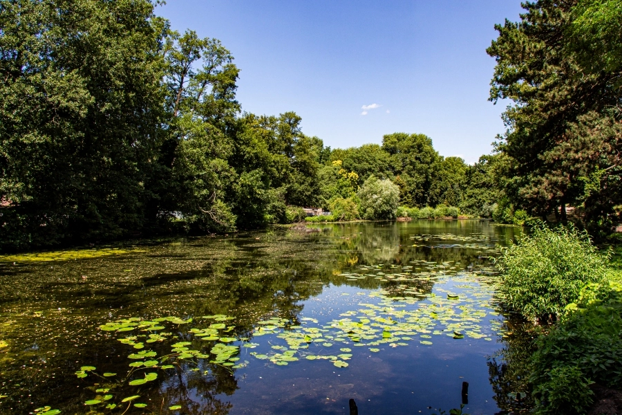 pfefferteich-im-park-des-friedens Der Pfefferteich im Park des Friedens