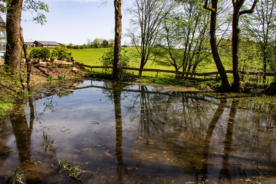 quelltopf-der-lahn Der Quelltopf der Lahn