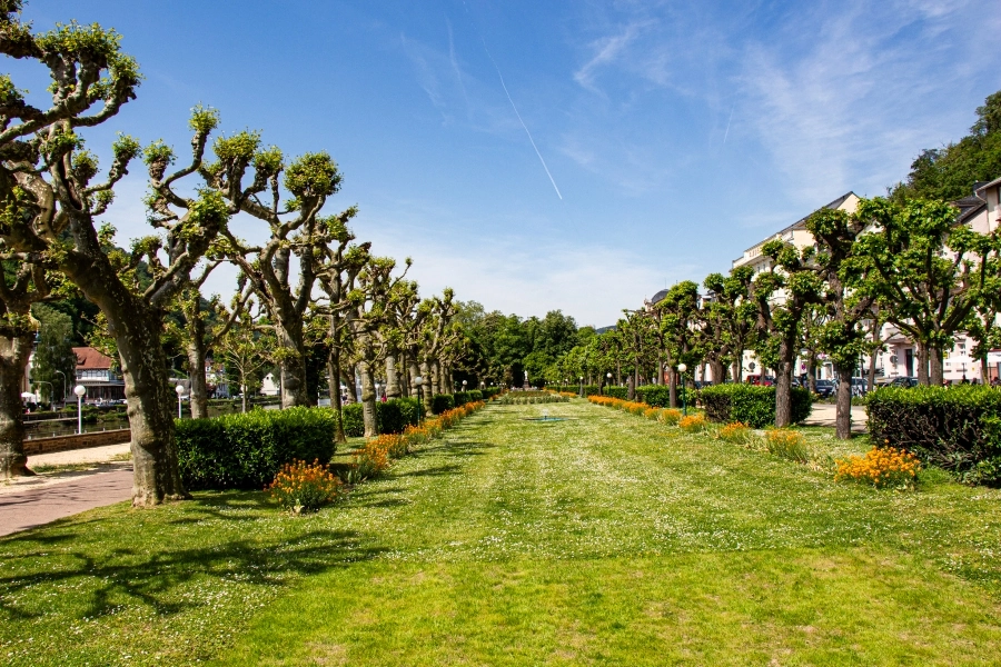 guenanlage-hinter-der-spielbank Grünanlage hinter der Spielbank