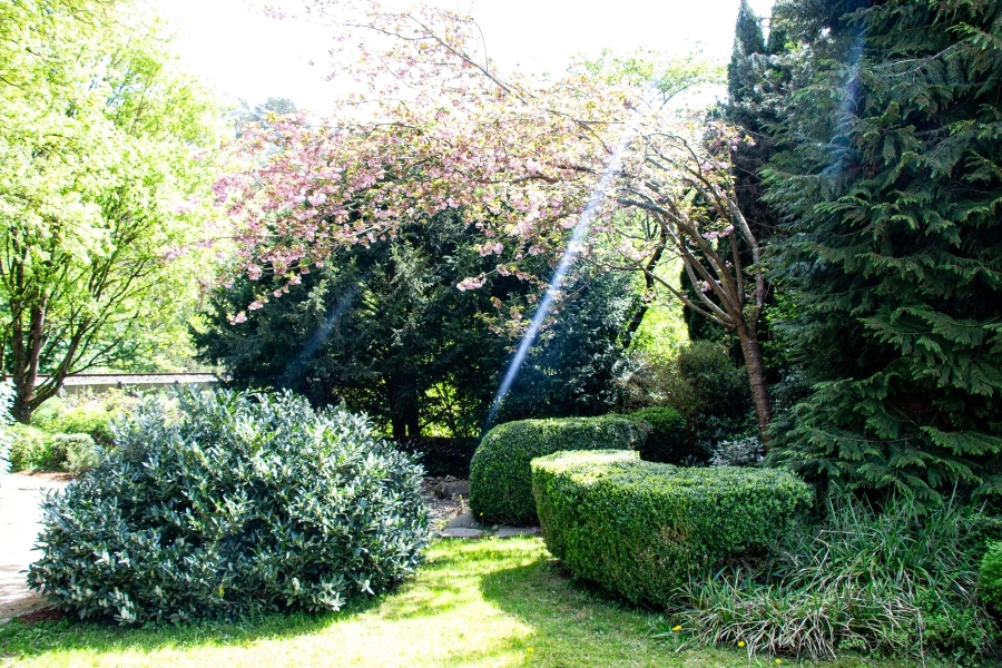 stadtgarten Der Stadtgarten