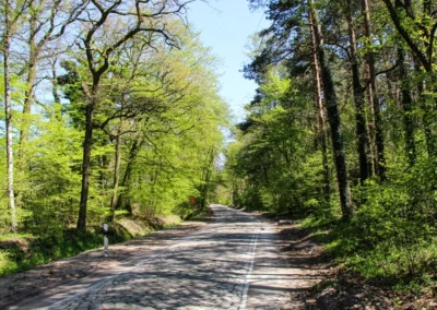 Weiter geht es auf dem Alten Postweg von Isernhagen mach Altwarmbüchen