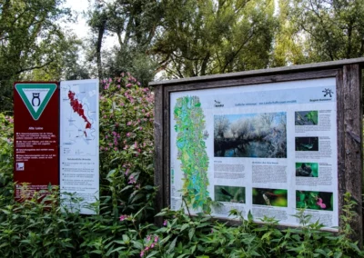 Auskunftstafel des NABU in der Südlichen Leineaue