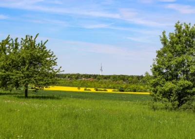 Blick in Richtung Telemax in Hannover-Buchholz