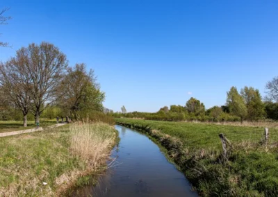 Die Wietze durchfliesst den Wietzepark