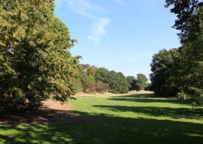Im Hinüberschen Garten in Marienwerder