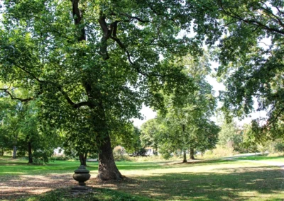 Im Hinüberschen Garten in Marienwerder