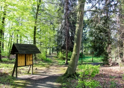 Den Mecklenheider Forst gibt es seit dem 19. Jahr­hundert