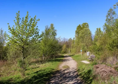 Weiter geht es durch den Mecklenheideforst