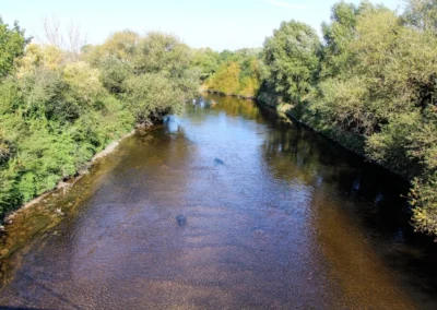Kanuten auf der Leine bei Stöcken