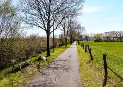 Der Pfad der Menschenrechte in Gartenstadt Lohne