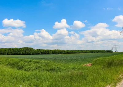 Vom Bockmerholz nach Sehnde