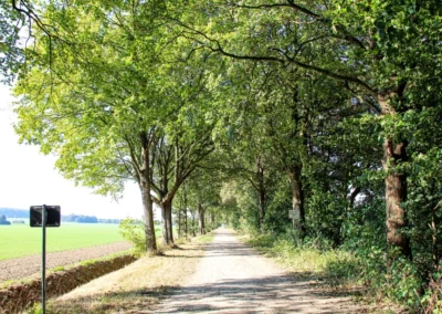 Die "von-Lenthe-Allee" zwischen Lenthe und Velber