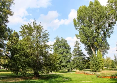 Die Ursprünge des Ottomar-von-Reden-Parks in Gehrden reichen bis in das Jahr 1590 zurück