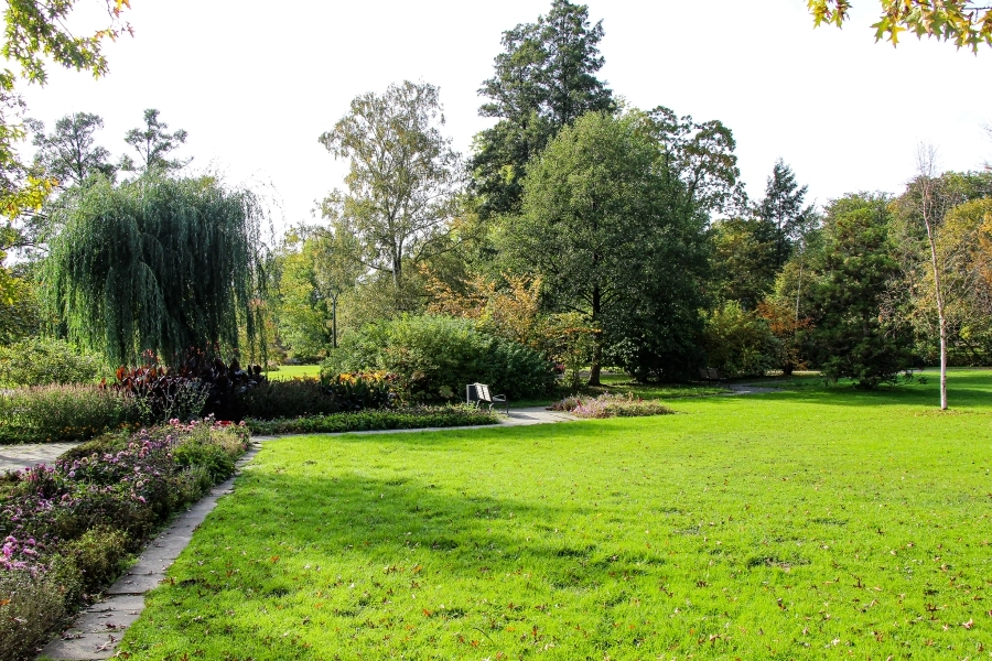 ruheplatz-im-kurpark Ruheoase mitten im Kurpark